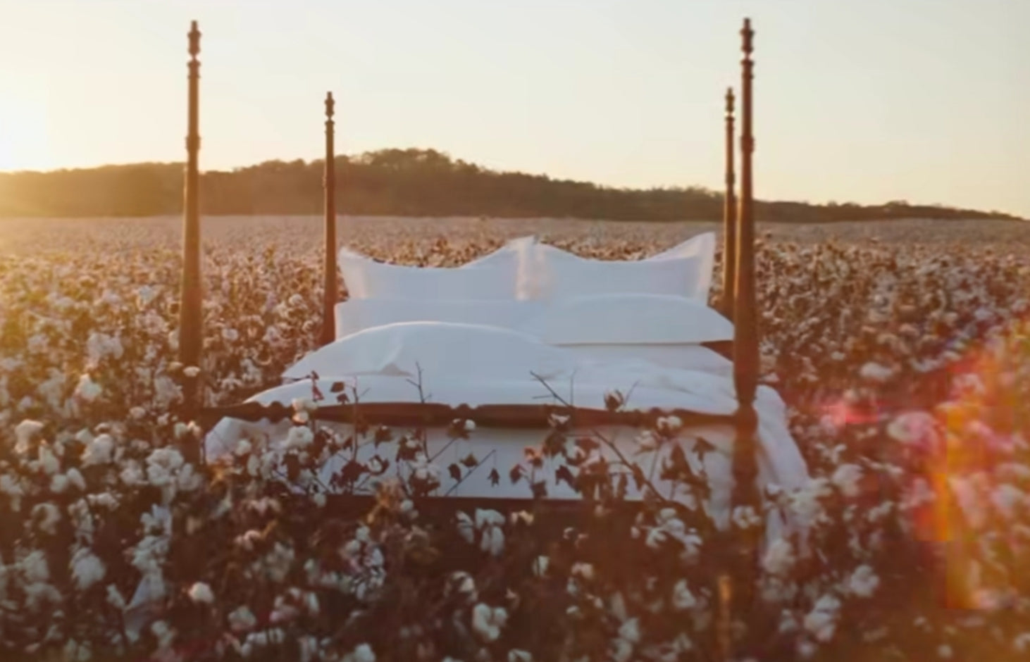 First Destination: Red Land Cotton — The Origin of True Luxury